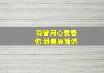 我曾用心爱着你 潘美辰简谱